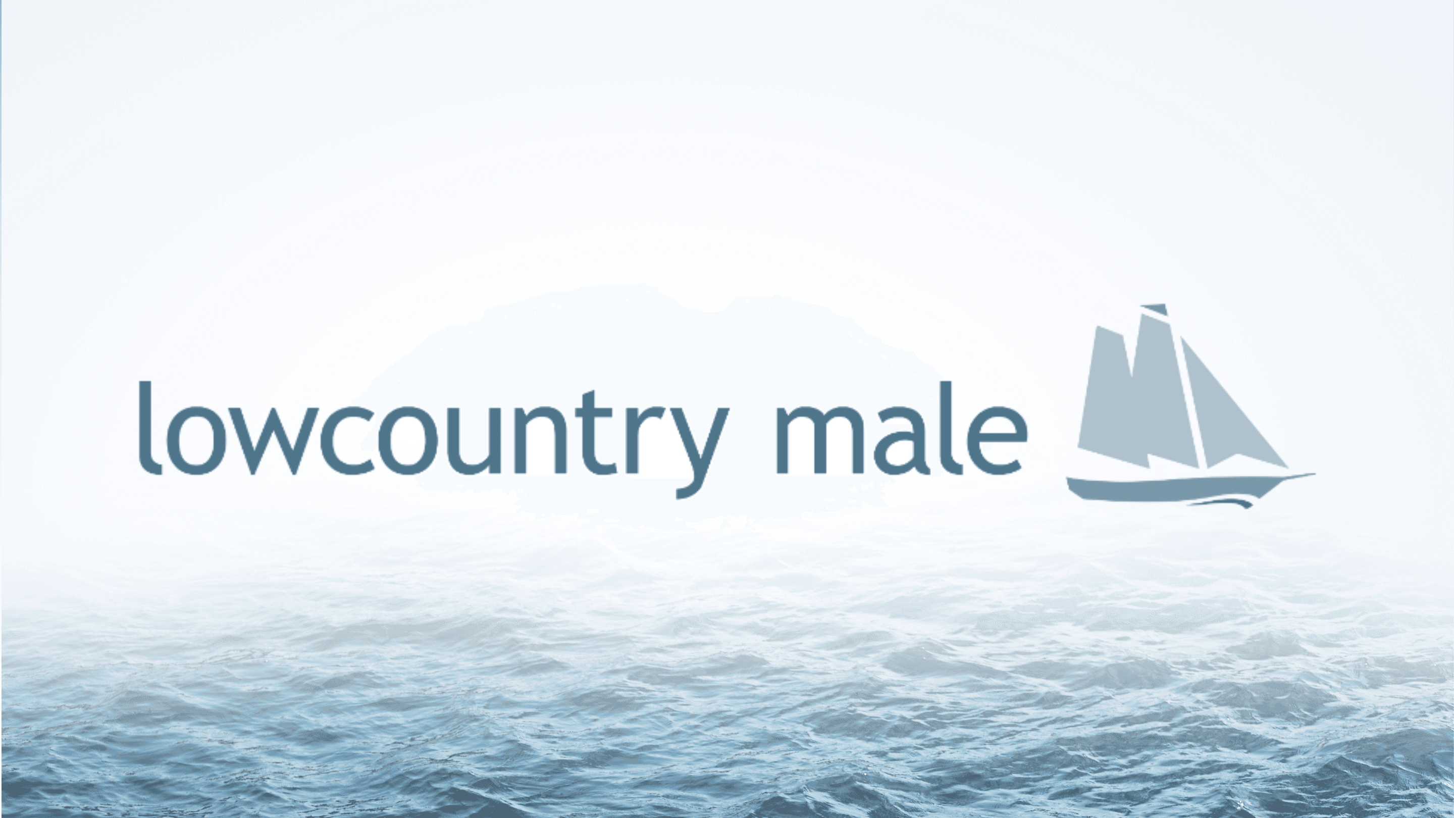 Lowcountry Male Clinic - Fort Mill, SC - TRT & Weight Loss Clinic - Longevity clinic in Fort Mill, South Carolina