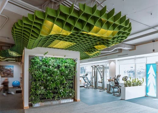 Tall Tree Health - James Bay - Longevity clinic in Victoria, British Columbia