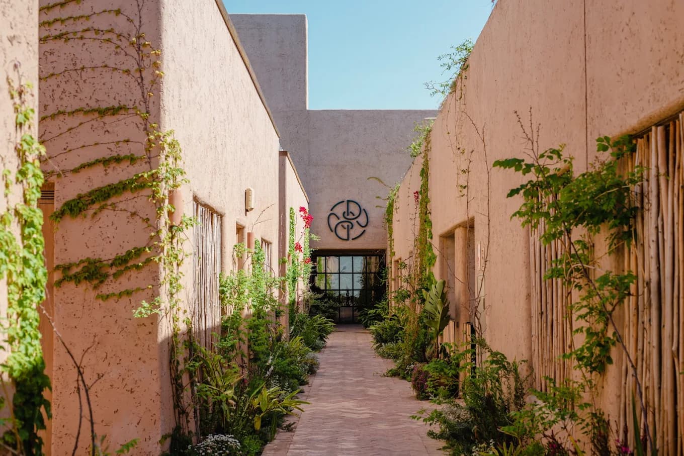 RoseBar Longevity - Longevity clinic in Ibiza, IB
