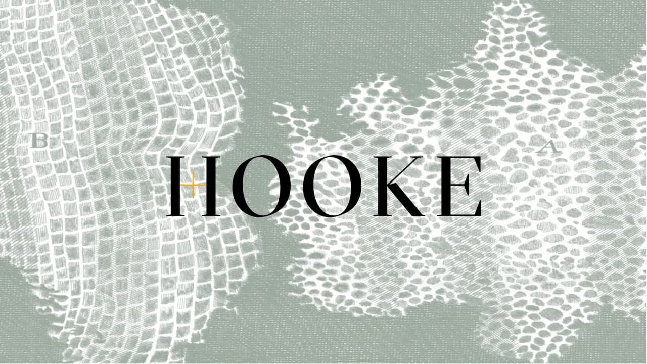 Hooke - Longevity clinic in London, England