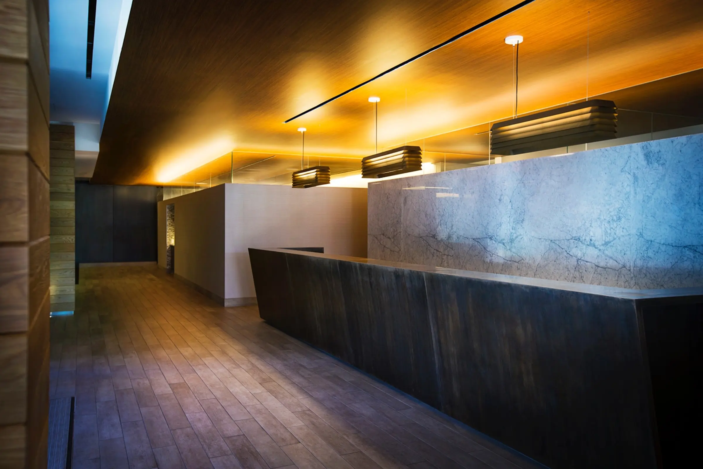 The Spa at Equinox - Downtown LA, CA - Longevity clinic in Los Angeles, California